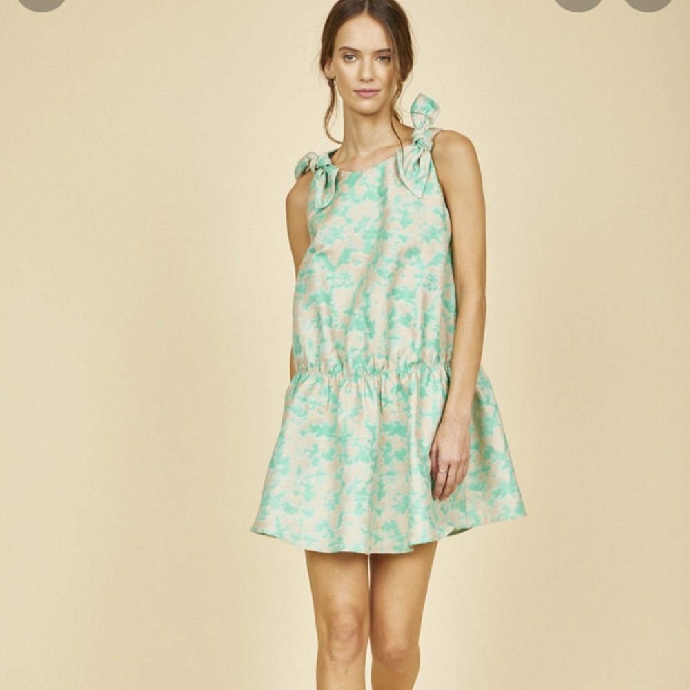 NWT Hunter Bell Griffin Dress